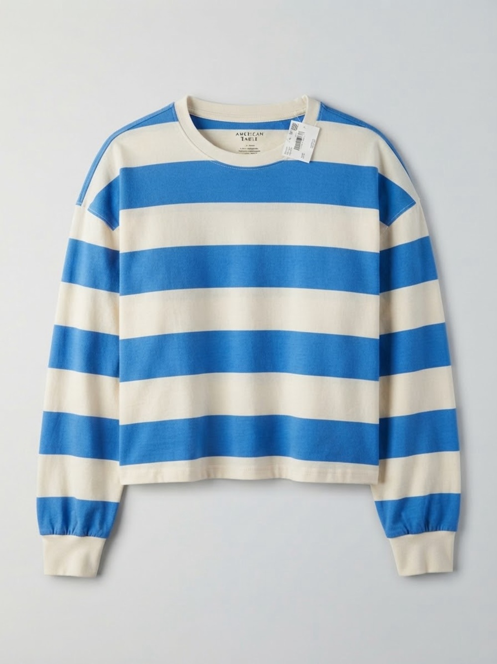 American Eagle Outfitters Blue and Cream Striped Crewneck Cropped Sweater